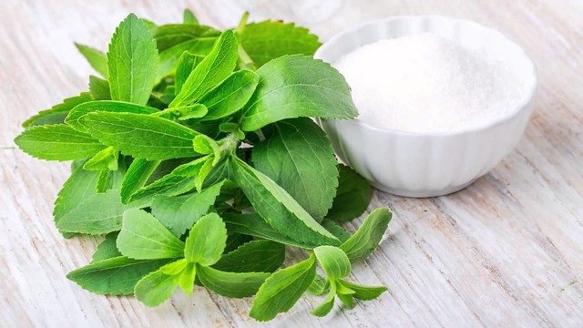 الستيفيا.. طعم أحلى ونتائج واعدة لعلاج السرطان
