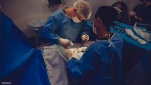 أول زراعة ناجحة لرئة خنزير في صدر إنسان